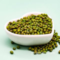 卸売農産物高品質の穀物緑豆